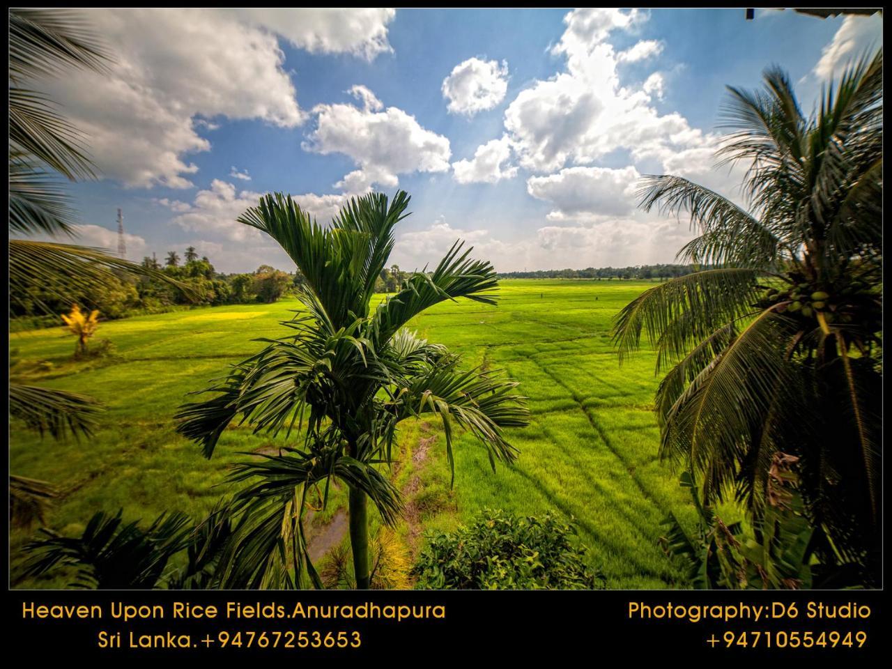 Bed and Breakfast Heaven Upon Rice Fields à Anurâdhapura Extérieur photo