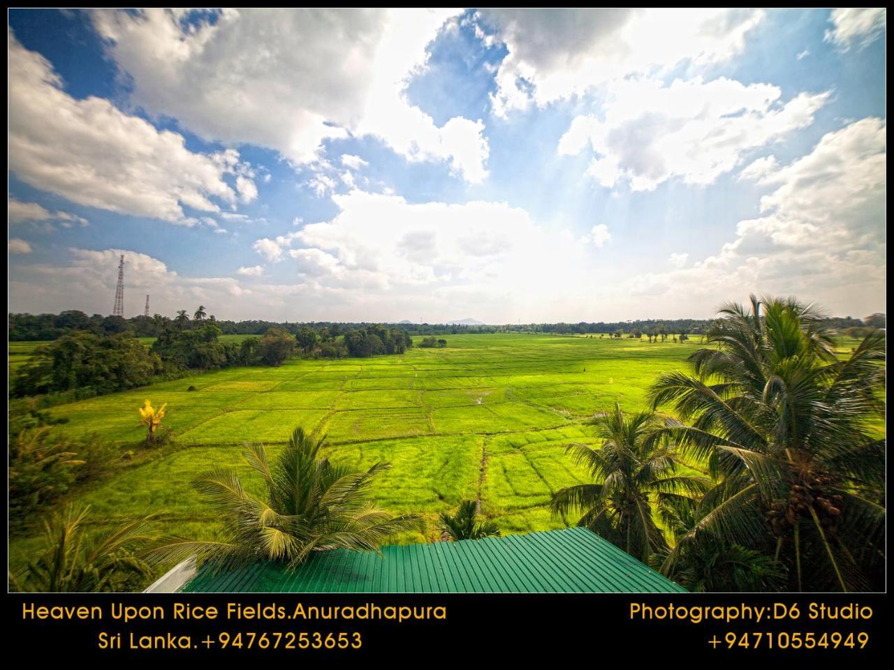 Bed and Breakfast Heaven Upon Rice Fields à Anurâdhapura Extérieur photo